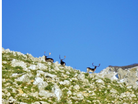 Sicily Madonie Mountains 4 Day Trail